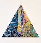 Regeneration: Plane, Planarian, and Planet (02), copyright Gupi Ranganathan 2006-2025